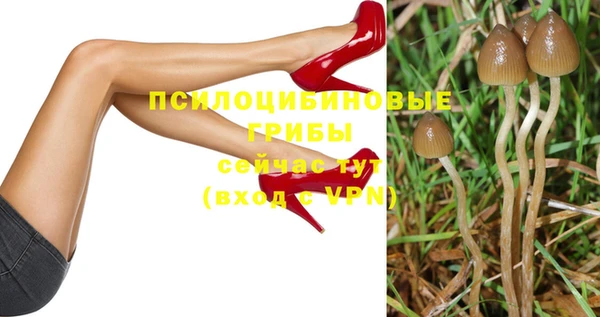 прущий лед Алексин
