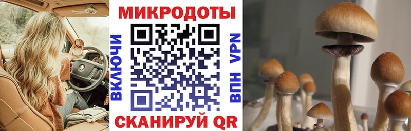 блэк спрут зеркало  нарко площадка формула  Жуков  Галлюциногенные грибы ЛСД  где можно купить  